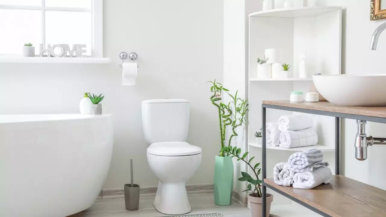 Trucos de limpieza: cómo dejar el baño limpio de forma eficaz