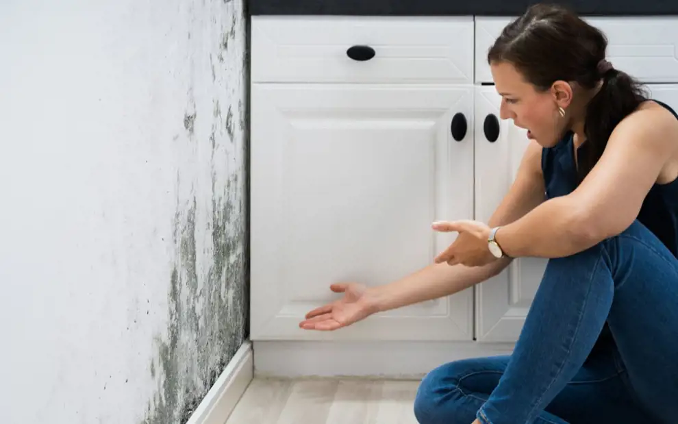 Cómo quitar la humedad de las paredes: remedios caseros y sencillos